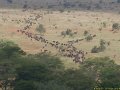 Kenya Safari Tsavo Est et Ouest 054